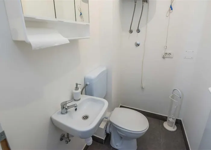 فيلة Annamaria زادار